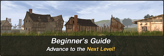 Beginner's Guide